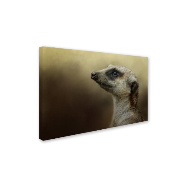 Jai Johnson 'The Meerkat' Canvas Art,22x32